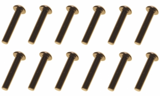 M3 Linsenkopfschraube M3x16mm aus Aluminium in schwarz eloxiert 10Stück