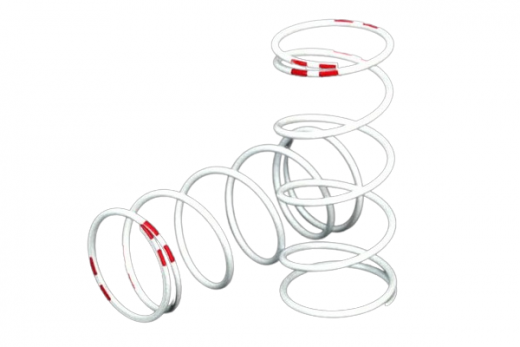 Traxxas Tuning GTR Dämpferfeder L in Weiß (0,810 Rate) 2Stück für Ford, Rustler, Slash und Stampede 1/10