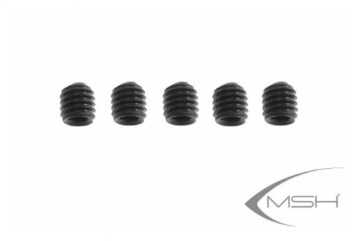 MSH Madenschrauben M3x3 5Stück