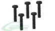 SAB Goblin Schrauben M3x10 5Stück für 380, 500, 570, RAW 580, RAW 700