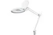 Tischlupenleuchte A+ 7,5Watt mit 520Lumen mit Echtglaslinse 6,5x75x23cm