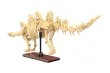 CaDA Klemmbausteine Dinosaurier Fossilien Stegosaurus - 297 Teile