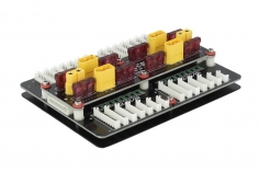 ParaBoard 2-8S/4P - XT60 - EH - SMD und Hauptsicherungen