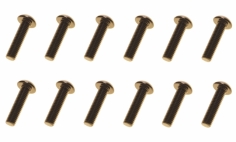 M3 Linsenkopfschraube M3x10mm aus Aluminium in schwarz eloxiert 10Stück