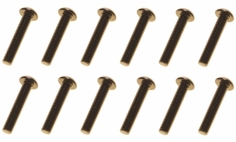 M3 Linsenkopfschraube M3x16mm aus Aluminium in schwarz eloxiert 10Stück