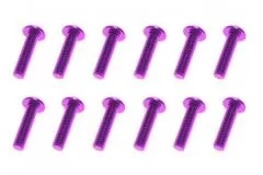 M3 Linsenkopfschraube M3x10mm aus Aluminium in violett eloxiert 10Stück