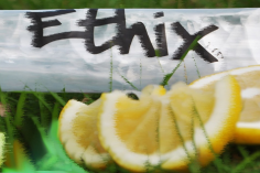 HQ Dreiblatt Propeller Ethix S4 Lemon Lime in gelb und grün aus Poly Carbonate 5x3,65x3 je 2CW+2CCW
