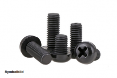 Nylon Linsenkopfschrauben M3x4 in schwarz 10Stück