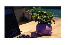 Polymaker PolyTerra PLA Lavender violett 1,75mm 1kg