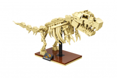 Linoos Klemmbausteine Dino Museum T-Rex - 238 Teile