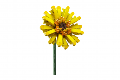 MouldKing Klemmbausteine Blumen Barberton Gänseblümchen - 180 Teile
