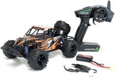 MODSTER RC Auto Desert Rookie 4WD 1:18 2,4GHz RTR
