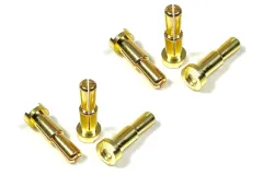 Absima Goldkontaktstecker 4 - 5mm 6Stück