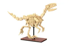 CaDA Klemmbausteine Dinosaurier Fossilien Velociraptor - 256 Teile